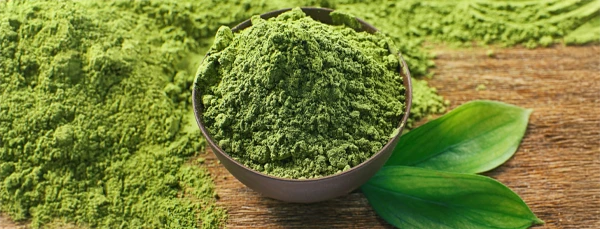 Green Tea Extract
